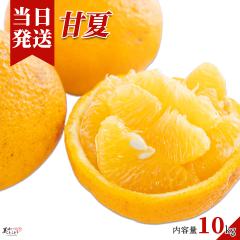 [��������] �������Ƃ��ǂ� �a�̎R���Y �É� 10kg �G�i ����؃\�����G���I��