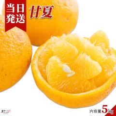 [��������] �������Ƃ��ǂ� �a�̎R���Y �É� 5kg �G�i ����؃\�����G���I��