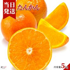 [��������] �������Ƃ��ǂ� ������ ���񂩂� 5kg �ԏG ���ϓ��x14 �Y�n���� 2�r�T�C�Y�`3�k�T�C�Y ��؃\�����G���I��