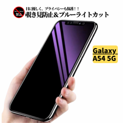 Galaxy A54 5G `h~ u[CgJbg KXtB یtB KX tB TX MNV[ SC-53D SCG21