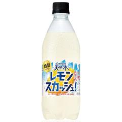 �y�Z�[���z�u24�{�v�V�R���@�����������X�J�b�V���@500ml �~24�{�~1���@�T���g���[�@iz
