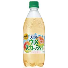 �y�Z�[���z�u24�{�v�T���g���[�V�R���@�����E���X�J�b�V���@500ml �~24�{�~1���@�V�R���@�Y�_���@���߁@�~�@�E��