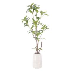 �t�F�C�N�O���[�� �M�����N�Z�C �Z���~�b�N�|�b�g 41133 �A�� �ϗt�A�� �C���e���A �l�H�ϗt�A�� �� ���� ���r���O ���� ��������