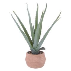 �t�F�C�N�O���[�� �A���G �r �Z�����g�|�b�g 41134 �A�� �ϗt�A�� �C���e���A �l�H�ϗt�A�� �� ���� ���r���O ���� ��������