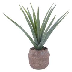 �t�F�C�N�O���[�� �A���G �l �Z�����g�|�b�g 41136  �A�� ���� ���r���O ������� �K�[�f�� ���� �ϗt�A�� �l�H�ϗt�A�� �O���[�� �� ��