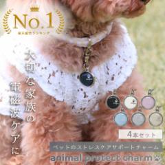 ybgp dgh~`[ anipro charm 4{Zbg | dg dgh~ dgh~ObY dg΍ dgPA N 5G ΍ Ւf 