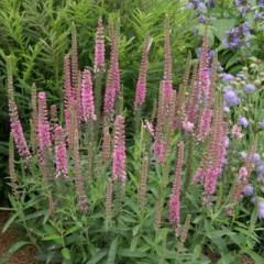 h̍炭 xjJ c n~Oo[hsN 9cm|bg gmI N K[fjO ԕc hc hys4