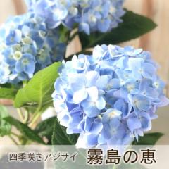 AWTC lG炠 ̌b 9cm o^i nChWA c ԕc c  z