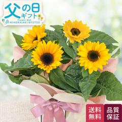 ���̓� �v���[���g �Ђ܂�� 5���� �������� ���̓��M�t�g �� ���A�� �q�}���� ������