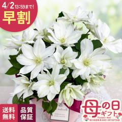 �_ ���� �^ ��̓� �v���[���g �N���}�`�X �k�l 5���� �������� ��̓��M�t�g �� ���A�� ���{�ԃL����