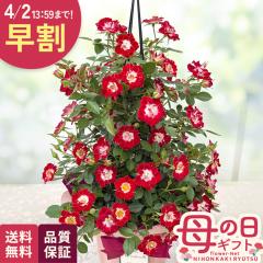 �_ ���� �^ ��̓� �v���[���g �o�� ���g���A�[�`�X�g �^���[ 6���� �������� ��̓��M�t�g �� ���A�� ��o�� ���{�ԃL����