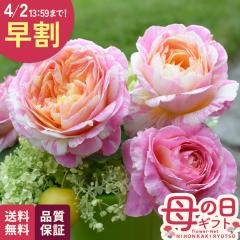 �_ ���� �^ ��̓� �v���[���g �o�� �f���o�[�� �N���[�h���l �o�^�i�� 6���� �������� ��̓��M�t�g �K�N �� ���A�� unu ���{�ԃL����