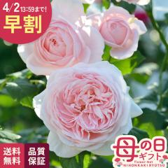 �_ ���� �^ ��̓� �v���[���g �o�� �f���o�[�� �i�G�} 6���� �������� ��̓��M�t�g �K�N �� ���A�� unu ���{�ԃL����