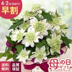 �_ ���� �^ ��̓� �v���[���g �N���}�`�X �ԉ� 5���� �������� ��̓��M�t�g �� ���A�� ���{�ԃL����