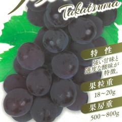 �\��̔� �Ԃǂ� �c �^�J�c�} 10.5cm�|�b�g ���� �u�h�E �ʎ��c wat 6����{�ȍ~����