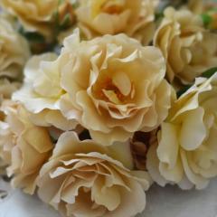 �\��̔� �o�� �c �o�� �V�c �͖{�o���� �� �u���b�V�� �i��o�^�o�蒆 �J��Ԃ��炫 �K�N �΂� �������� ���F has 4�����{�ȍ~����