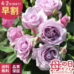 �_ ���� �^ ��̓� �v���[���g �o�� �͖{�o���� �闈�� �o�^�i�� 6���� �C�G���C�V���� �������� ��̓��M�t�g �K�N �� ���A�� unu ���{