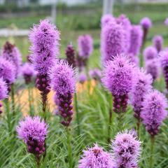 AgX c XsJ^ tX^oCIbg 9cm|bg N K[fjO ԕc hc atm