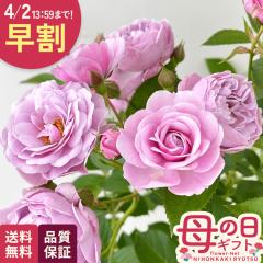 �_ ���� �^ ��̓� �v���[���g �o�� �R���f�X �v�����[�O �i��o�^�o�蒆 6���� �����o���� �������� ��̓��M�t�g �K�N �� ���A�� keb 