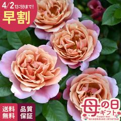 �_ ���� �^ ��̓� �v���[���g �o�� �h���� �s���N�r���e�[�W �i��o�^�o�蒆 6���� �������� ��̓��M�t�g �K�N �� ���A�� unu ���{�ԃL