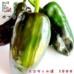 �\��̔� �g�E�K���V�c �|�u���[�m 9cm�|�b�g ���h�q �Ƃ����炵 ��ؕc �ƒ�؉� nft 5�����{�ȍ~����