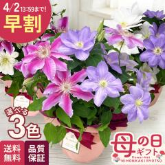 �_ ���� �^ ��̓� �v���[���g �I�ׂ� �N���}�`�X 2�F�A�� 3�p�^�[�� 5���� �������� ��̓��M�t�g �� ���A�� ���{�ԃL����