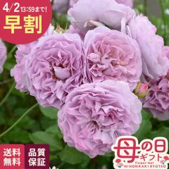 �_ ���� �^ ��̓� �v���[���g �o�� �͖{�o���� ������ �i��o�^�o�蒆 6���� �������� ��̓��M�t�g �K�N �� ���A�� unu ���{�ԃL����