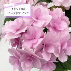 AWTC m[uA sN 9cm`10.5cm|bg o^\ Ɖ| nChWA c ԕc c  z smt