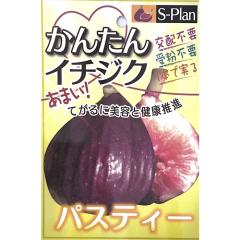 �\��̔� �������� �c �p�X�e�B�[ 15cm�|�b�g �C�`�W�N ���ԉ� ��n �c�� �ʎ��c szm 5�����{�ȍ~����