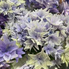 �A�W�T�C �a �u���[ 9cm�`10.5cm�|�b�g �i�S�~ ���ꌧ�������������� �n�C�h�����W�A �c �ԕc �c�� �������� ���z�� tmo