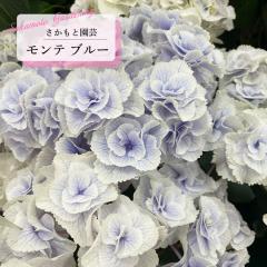 AWTC e u[ 9cm`10.5cm|bg o^\ Ɖ| nChWA c ԕc c  z smt