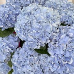 AWTC ӂӂ u[ 10.5cm|bg cΉ IWi nChWA c ԕc c  z okd