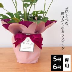 �� ���b�s���O 5�`6����p � �M�t�g