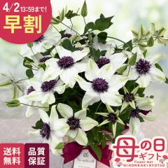 �_ ���� �^ ��̓� �v���[���g �N���}�`�X �e�b�Z�� 5���� �������� ��̓��M�t�g �� ���A�� ���{�ԃL����