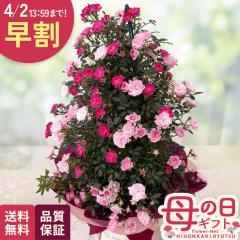 �_ ���� �^ ��̓� �v���[���g �o�� 2�F�A�� �^���[ 5���� �������� ��̓��M�t�g �� ���A�� ��o�� ���{�ԃL����