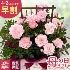 �_ ���� �^ ��̓� �v���[���g �~�j�o�� �X�C�[�g�n�[�g�������[ �g�����X 5���� �������� ��̓��M�t�g �� ���A�� �o�� ���{�ԃL����