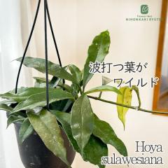 �\��̔� �ϗt�A�� �z�� �X���E�G�V�A 4�� �݂蔫 �݂艺�� �n���M���O �������� �ϗt�A�� ���� ���蕨 �v���[���g �C���e���A ������� 