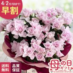 �_ ���� �^ ��̓� �v���[���g �c�c�W �~�Z�X�O���o�[ 5���� �������� ��̓��M�t�g �� ���A�� best ���{�ԃL����