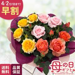 �_ ���� �^ ��̓� �v���[���g �~�j�o�� �T���N�X�~���t�B�[�� 5���� �������� ��̓��M�t�g �� ���A�� �o�� ���{�ԃL����