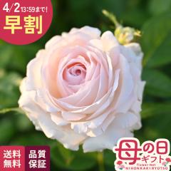 �_ ���� �^ ��̓� �v���[���g �o�� �f���o�[�� ���\���@�W�[�k�e���G�p�b�V���� �i��o�^�o�蒆 6���� �������� ��̓��M�t�g �K�N �� 