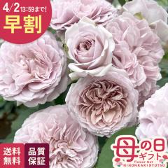 �_ ���� �^ ��̓� �v���[���g �o�� �͖{�o���� ���\���[�� �i��o�^�o�蒆 6���� �������� ��̓��M�t�g �K�N �� ���A�� unu ���{�ԃL��