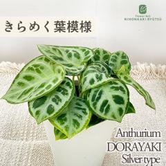 �ϗt�A�� �A���X���E�� �N���X�^���i�� �h�����L 4���� �A���X�����[�� �V���o�[�^�C�v �������� �ϗt�A�� ���^ ������ ���� ���蕨 �v��