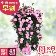 �_ ���� �^ ��̓� �v���[���g �o�� �v�����Z�X�s�[�` �������� ��̓��M�t�g �� ���A�� ��o�� ���{�ԃL����