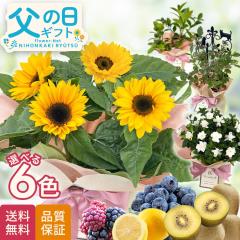 ���̓� �M�t�g �������� �I�ׂ� �� �ʎ� 5���� ���A�� �v���[���g �Ђ܂�� ������ �L�E�C �N�`�i�V �c�� �H�ו��ȊO ���{�ԃL����