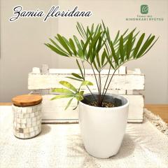 �ϗt�A�� �U�~�A �t�����_�[�i 9cm�|�b�g �ϗt�A�� ���^ ������ ���� ���蕨 �v���[���g �C���e���A �������