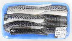 ITotB mEF[Y 1600gO RXgR Ⓚ