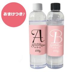 2�t�����W���t �G�|�L�V���W���t �N���A�@1:1 ��e��500g ���܂��t���@resin39 