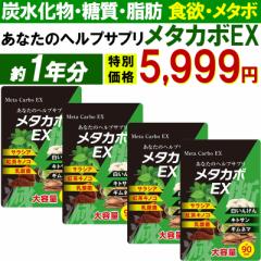 メタカボEX 【お得1年分 4袋セット】ダイエット サプリメント カロリーカット 白いんげん豆 サラシア 乳酸菌 キトサン ギムネマ 生酵素