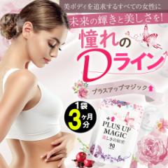プラスアップマジック【お得3ヶ月分】 バスト 女子力 魅力 アップ サプリメント サイズアップ エラスチン ボリューム アップ 1袋90日分