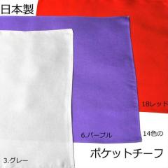 10�F�̖��n�̃V���N100���̃|�P�b�g�`�[�t���{��